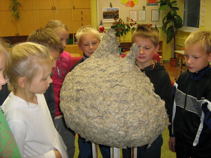 Vapsikupesa 2008
