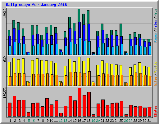 Daily usage for January 2013