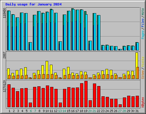 Daily usage for January 2024