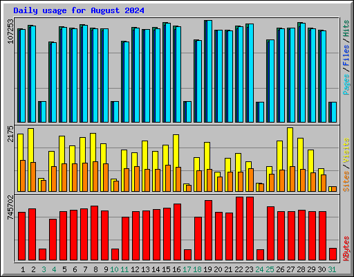 Daily usage for August 2024