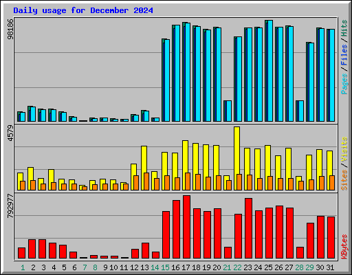 Daily usage for December 2024