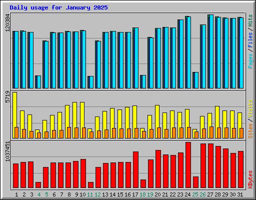 Daily usage for January 2025