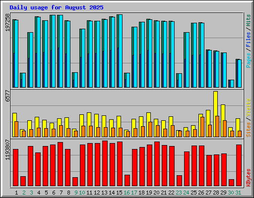 Daily usage for August 2025