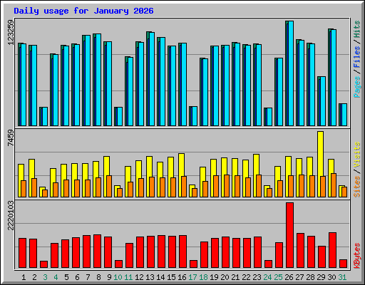 Daily usage for January 2026