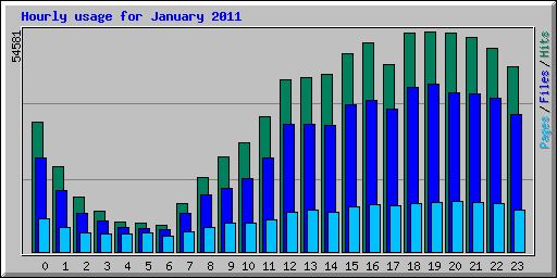 Hourly usage for January 2011