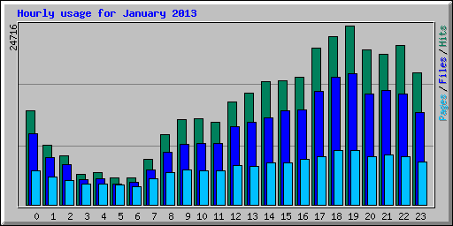 Hourly usage for January 2013
