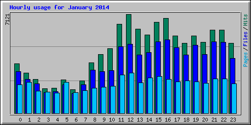 Hourly usage for January 2014