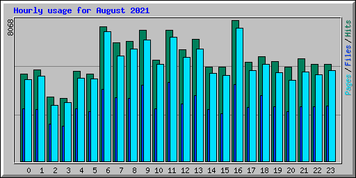 Hourly usage for August 2021