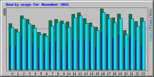 Hourly usage for November 2021
