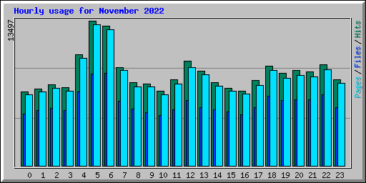 Hourly usage for November 2022
