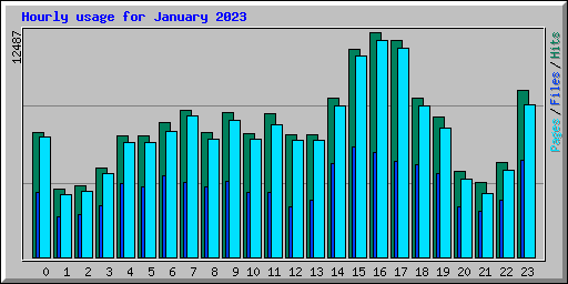 Hourly usage for January 2023