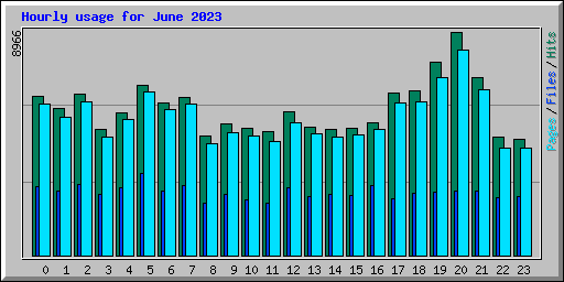 Hourly usage for June 2023