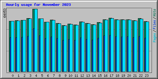 Hourly usage for November 2023