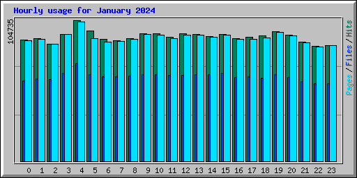 Hourly usage for January 2024