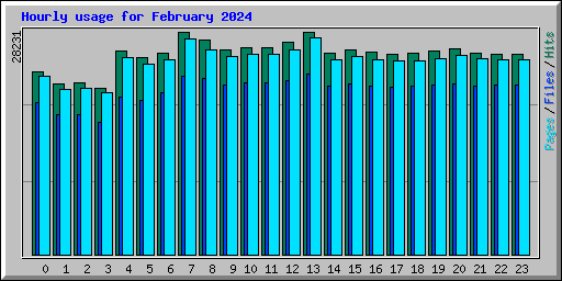 Hourly usage for February 2024