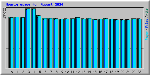 Hourly usage for August 2024