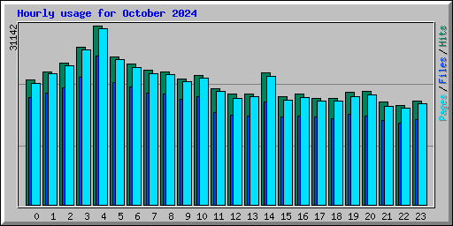 Hourly usage for October 2024