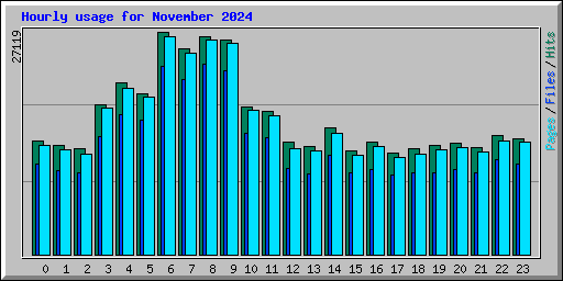 Hourly usage for November 2024