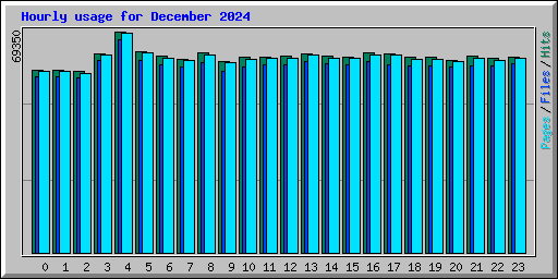 Hourly usage for December 2024