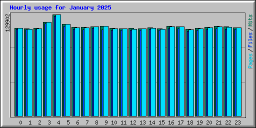 Hourly usage for January 2025