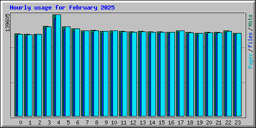 Hourly usage for February 2025