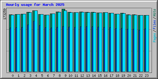 Hourly usage for March 2025