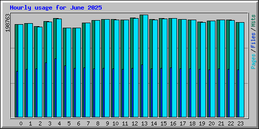 Hourly usage for June 2025
