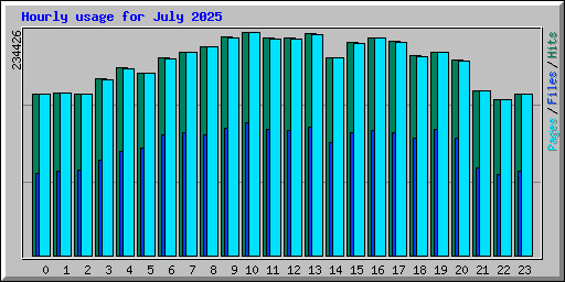 Hourly usage for July 2025