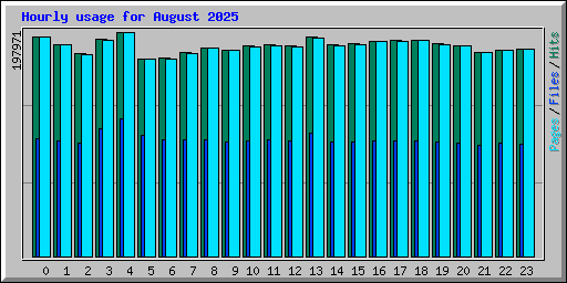 Hourly usage for August 2025