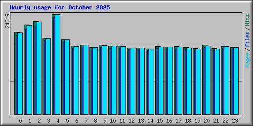 Hourly usage for October 2025
