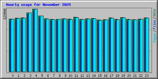 Hourly usage for November 2025