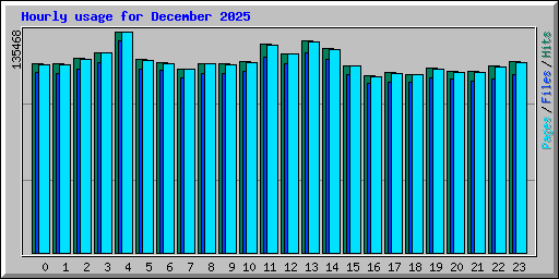 Hourly usage for December 2025
