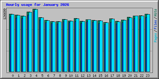 Hourly usage for January 2026