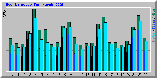 Hourly usage for March 2026